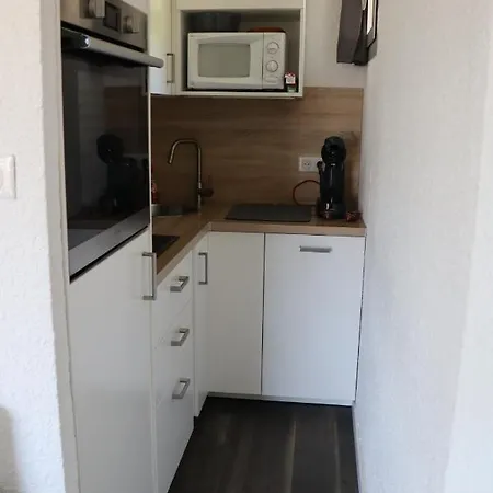 Appartement Au Pied Des Pistes Les 2 Alpes