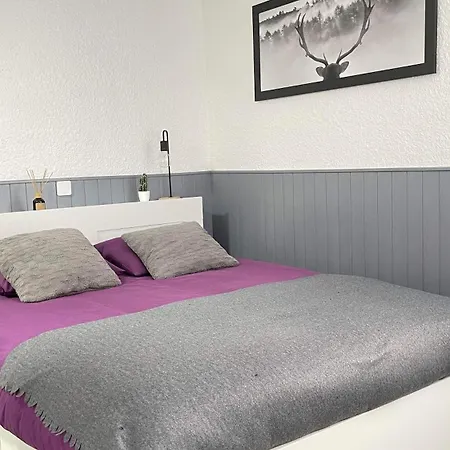 Appartement Au Pied Des Pistes Les 2 Alpes Les Deux Alpes